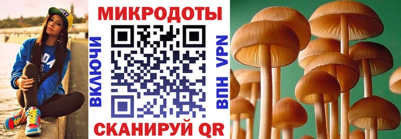 Галлюциногенные грибы Psilocybe  как найти   Орлов 