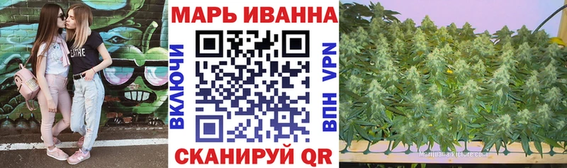 как найти наркотики  Орлов  KRAKEN ONION  Конопля SATIVA & INDICA 